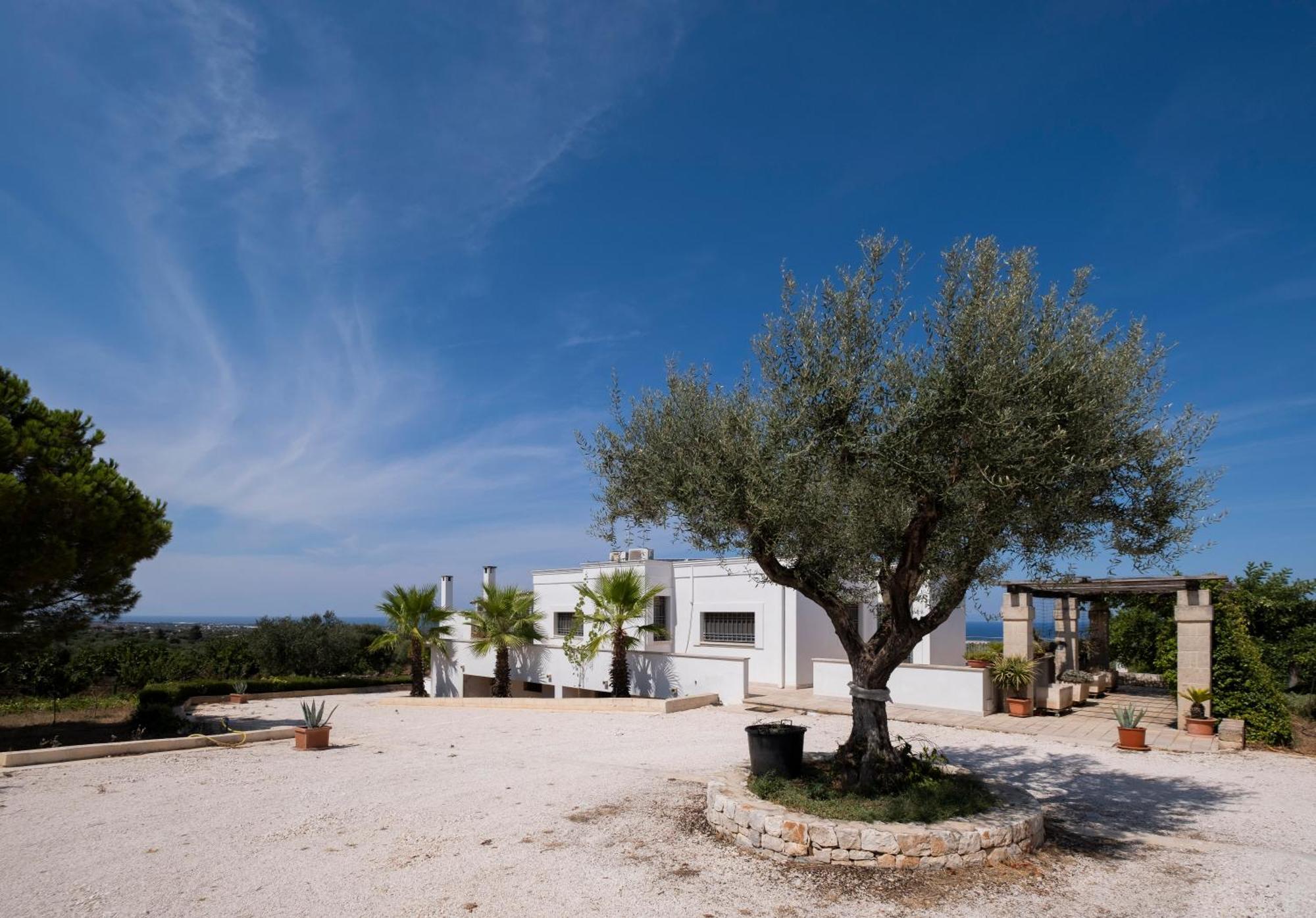 Il Carrubo Villa Polignano a Mare Kültér fotó